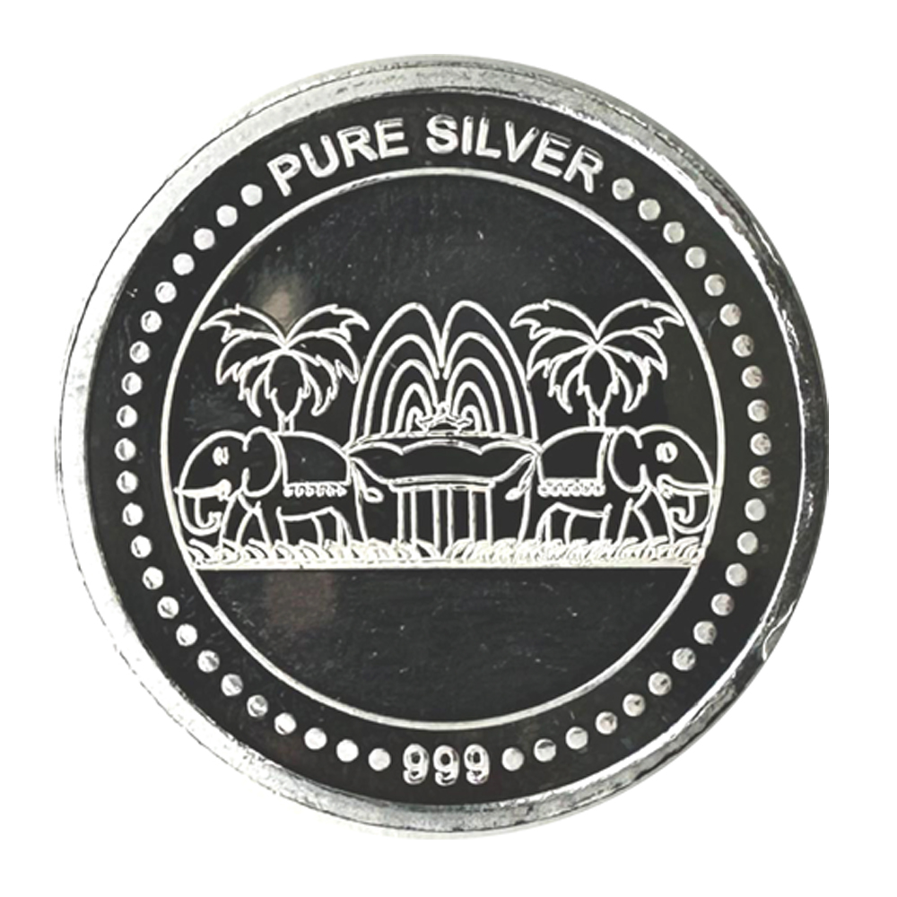 Silver Coin - IITM